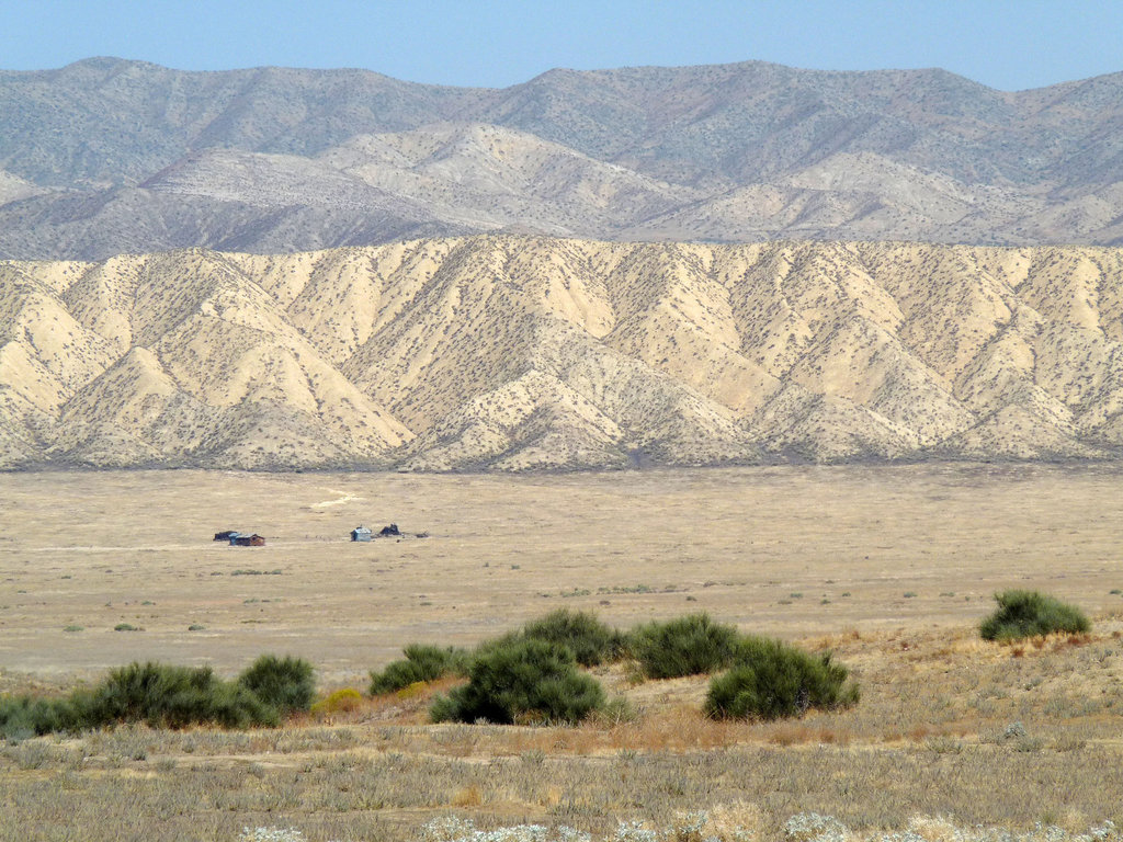 Carrizo Plain National Monument (0951)