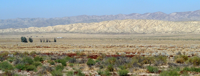 Carrizo Plain National Monument (0952)