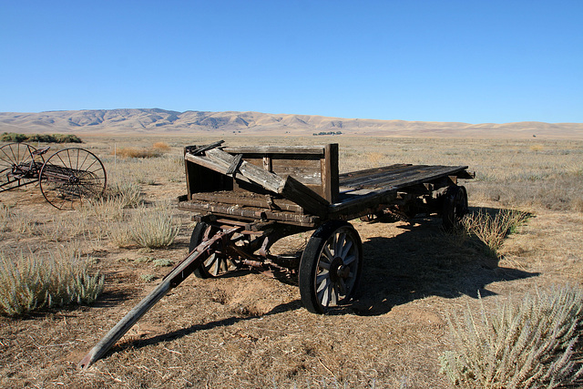 Carrizo Plain National Monument (1340)