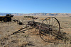 Carrizo Plain National Monument (1341)