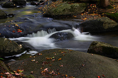 Parc écologique Jean-Paul Forand au Mont Shefford