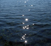See-Sterne