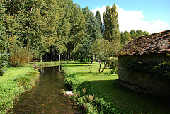 Promenade thérapeutique