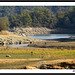 Le Lac de St Cassien avait bien soif...