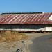 Maricopa oil building (0839)