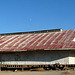 Maricopa oil building (0844)