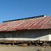 Maricopa oil building (0845)