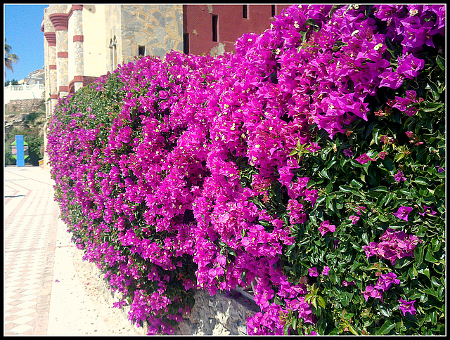 Benalmádena (Málaga).