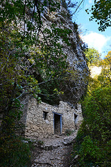 Ruine sur fond de feuillage