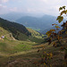 Wirts- und Wuhrsteinalm