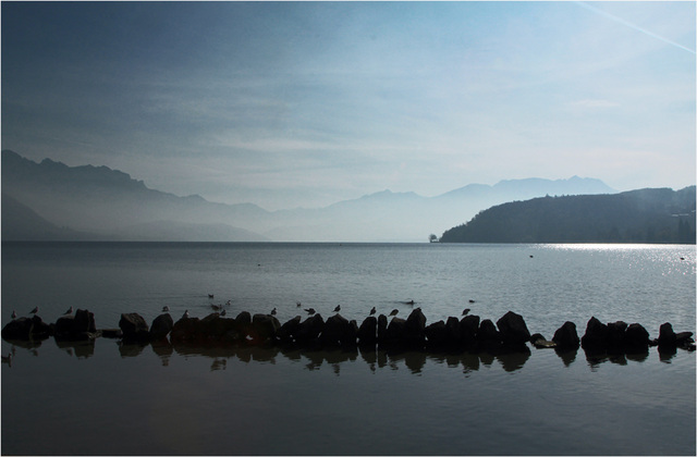 Annecy : les spectateurs du premier rang...