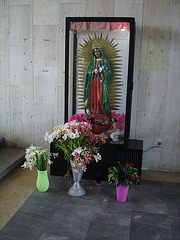 Fleurs religieuses / Religious flowers - Central Ixtapan / Terminus - 7 avril 2011