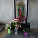 Fleurs religieuses / Religious flowers - Central Ixtapan / Terminus - 7 avril 2011