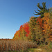 L'automne à son plus beau