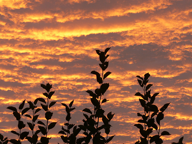 leuchtender Abendhimmel