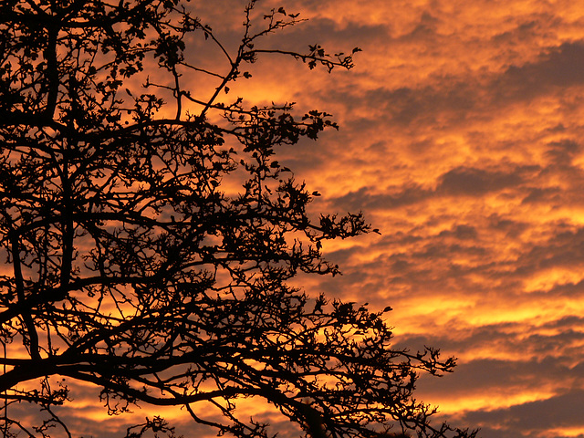 farbige Wolken am Abendhimmel