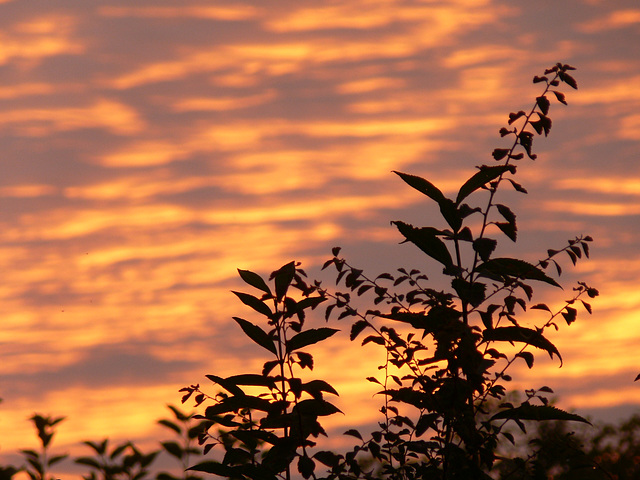 leuchtender Abendhimmel