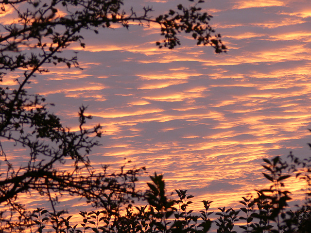 farbige Wolken am Abendhimmel