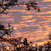 farbige Wolken am Abendhimmel