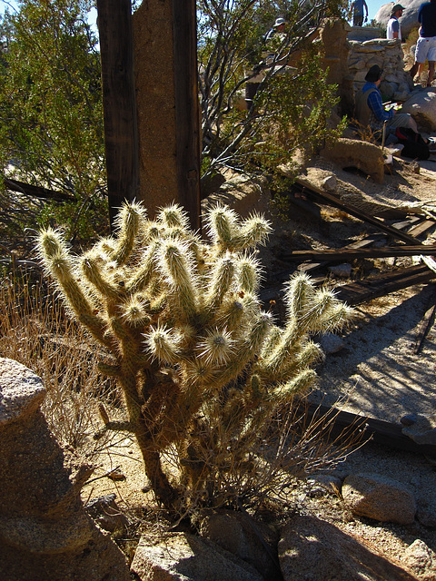 Ghost Mountain (0681)