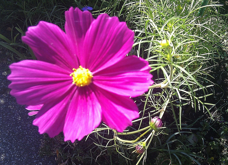IMAG0141
