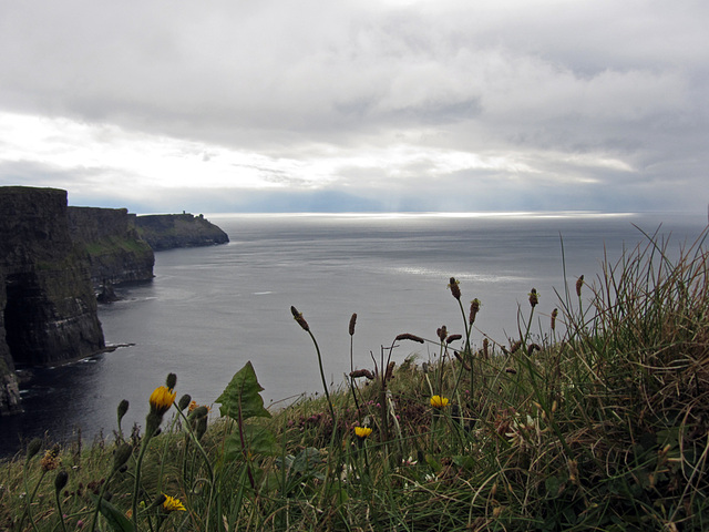 Cliffs of Moher