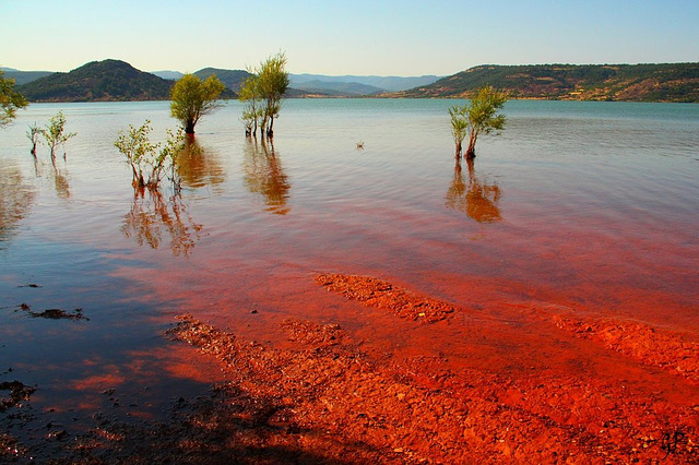 Red tide