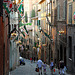 Siena - Contrada Oca im Festschmuck