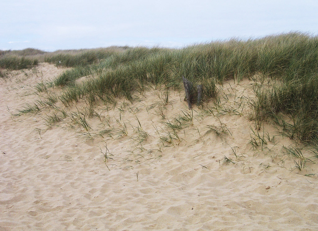 Quiberon, Bretagne  148