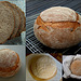 WGB Challenge #23: Whole Wheat Hearth Bread
