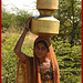 Water carrier. India.