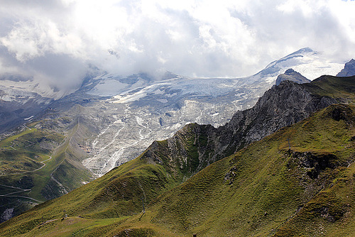 Blick vom Tuxer Joch Haus auf den Hintertuxer Gletscher