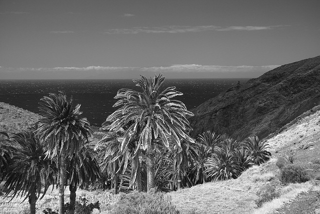 Strandwanderung