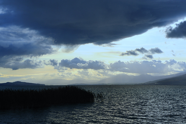 Après la pluie...