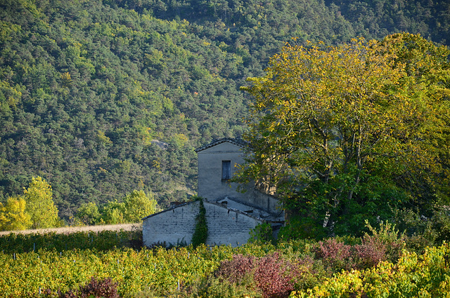 Vue d'en haut