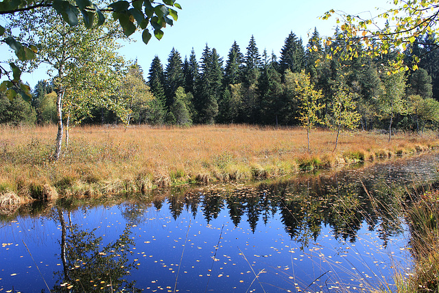Hochmoor