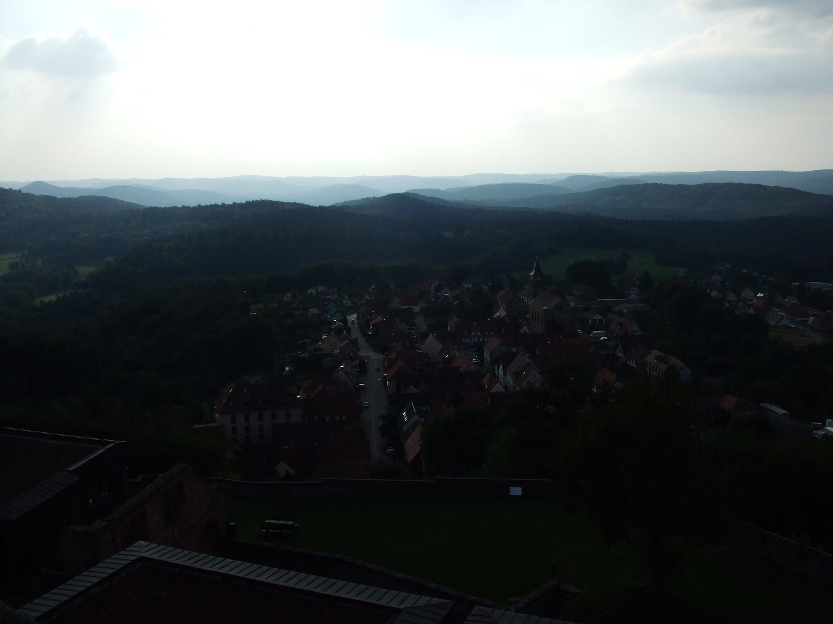 DSCF3728
