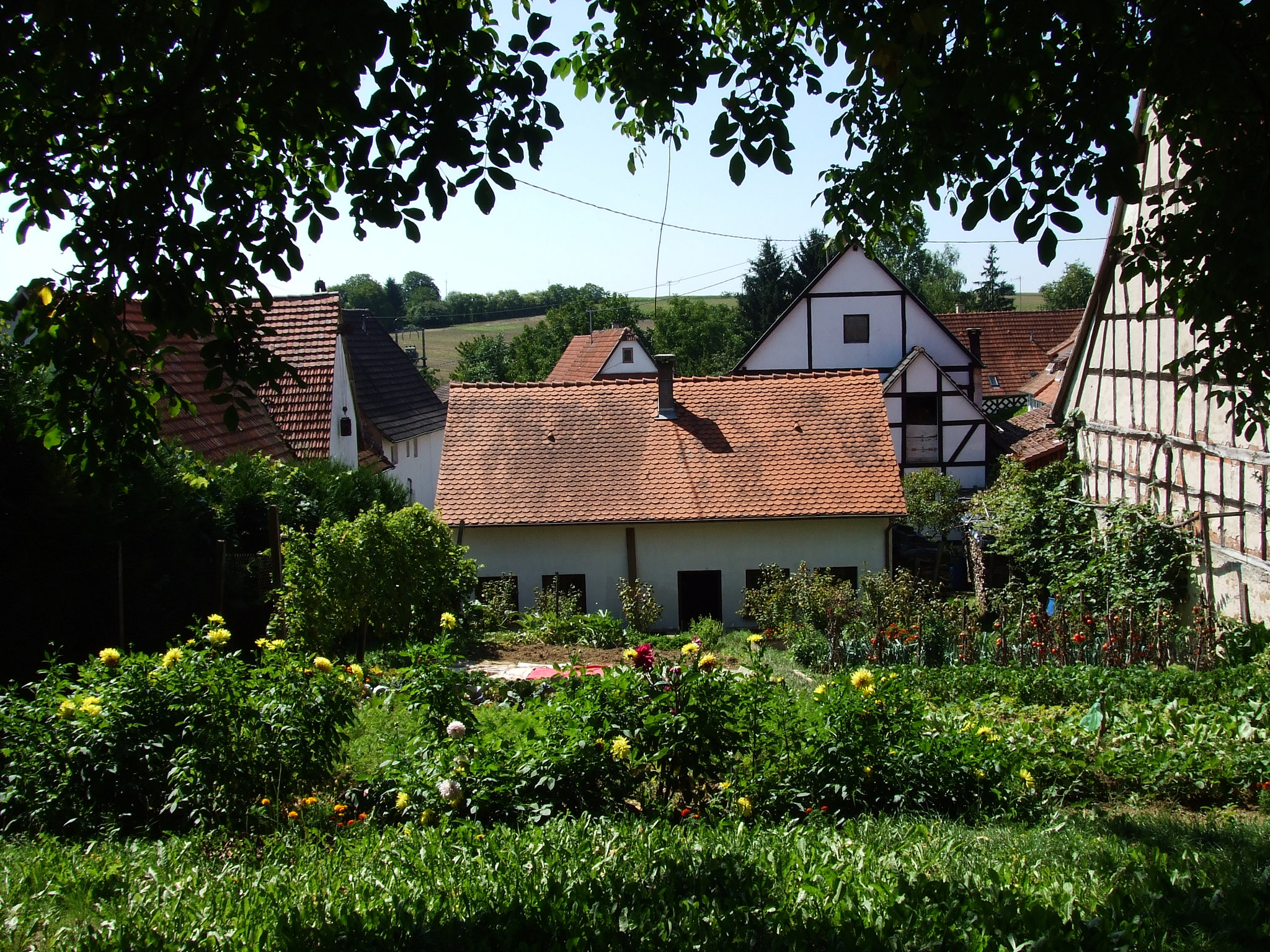 DSCF3748