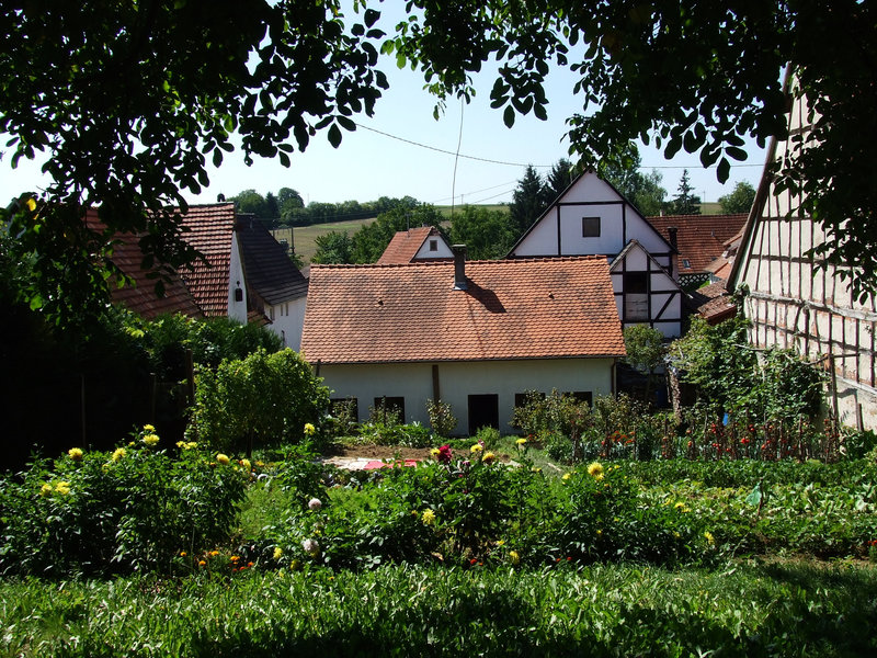 DSCF3748