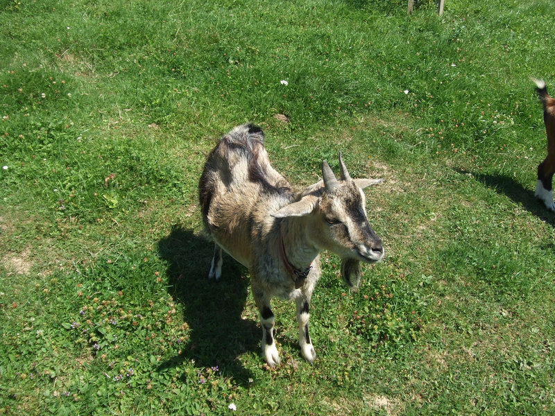 DSCF3750