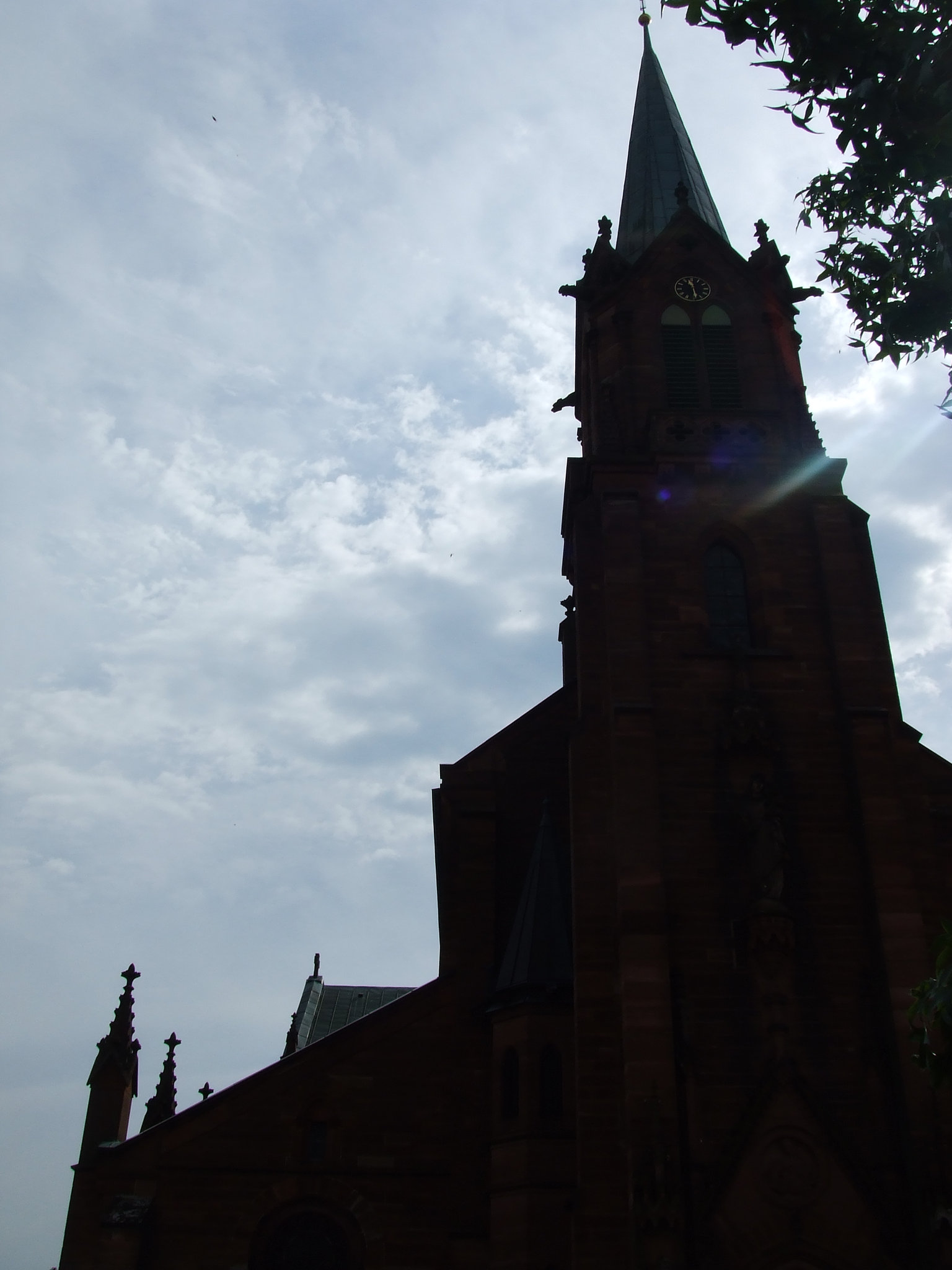 DSCF3794