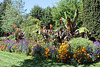 Massif exotique à Ensete et fleurs  jaunes et bleues