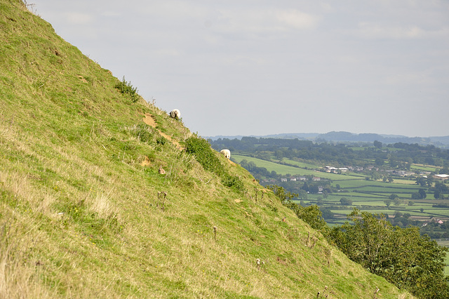 Glastonbury 110831