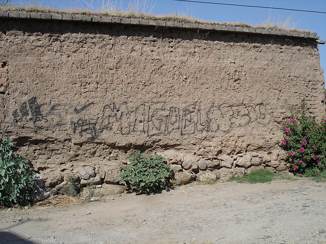 Miguel's wall / El muro Miguel / Le mur Miguel