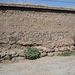 Miguel's wall / El muro Miguel / Le mur Miguel