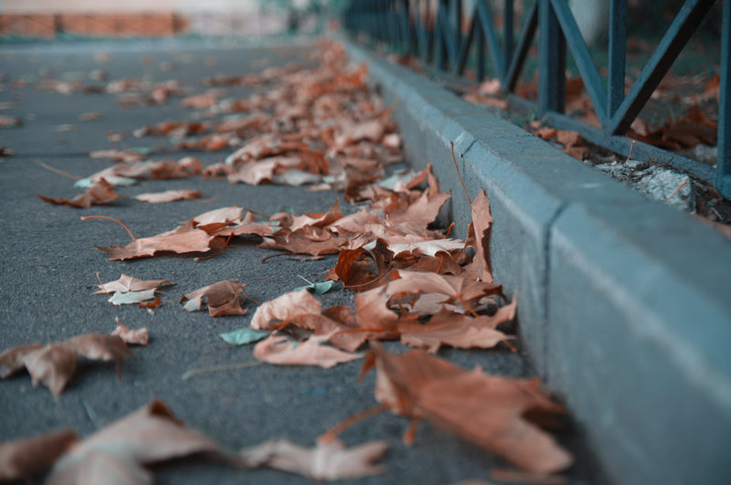 2011-09-25 13-24-39
