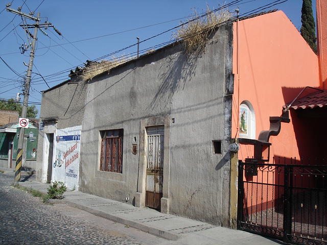 Façade écologique / Ecological façade /  Fachada ecológica - 22 mars 2011