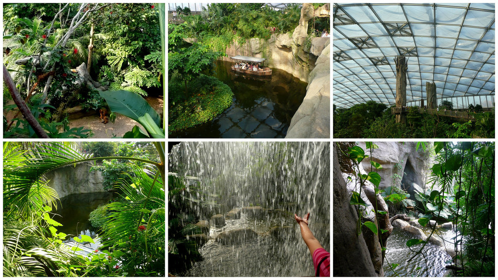 Gondwanaland im Zoo Leipzig