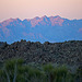 Sunset in Joshua Tree (3747)