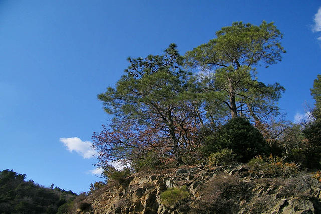 Sur le ciel bleu